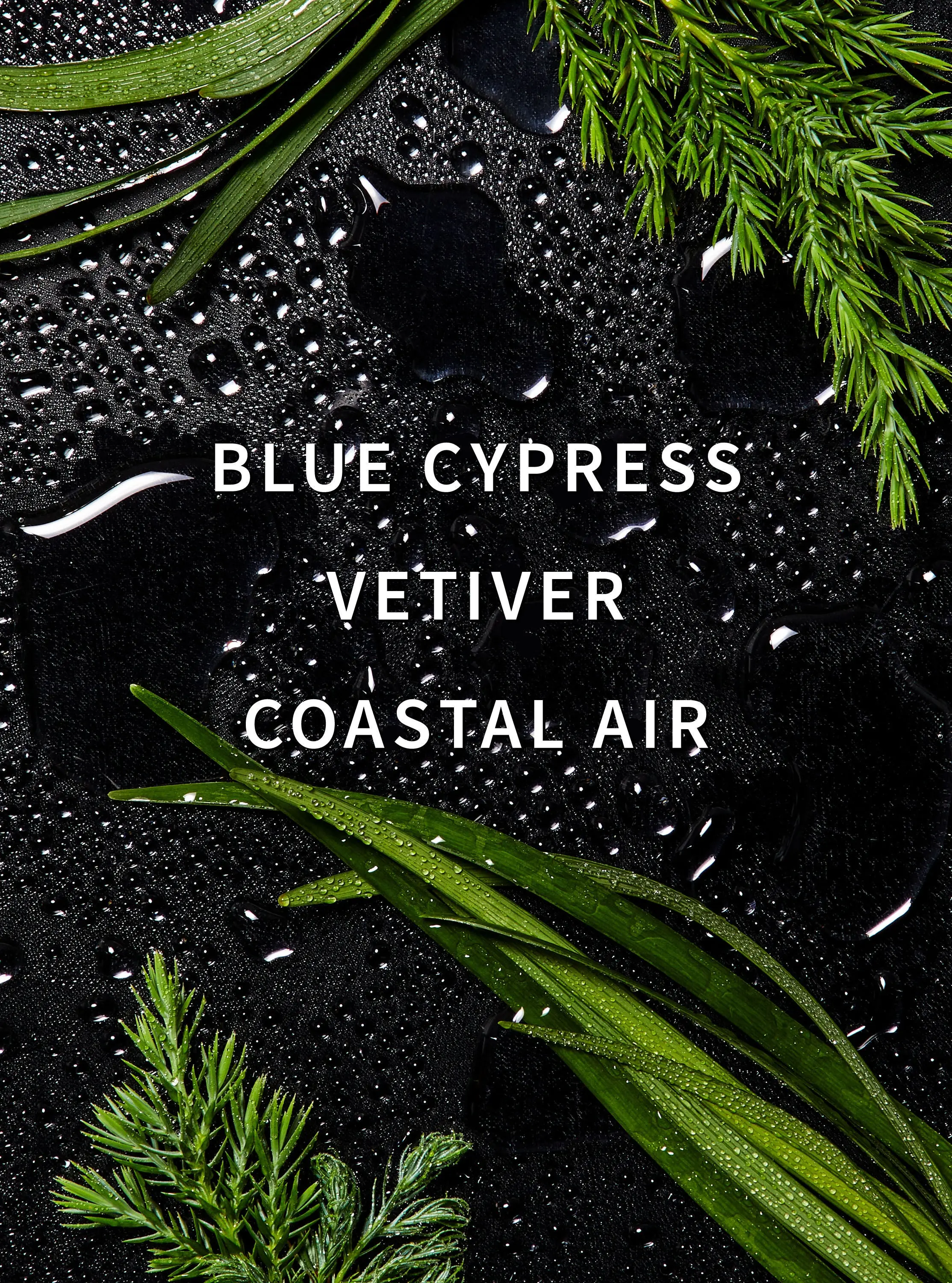 Ocean Fragrance Booster - Image 2
