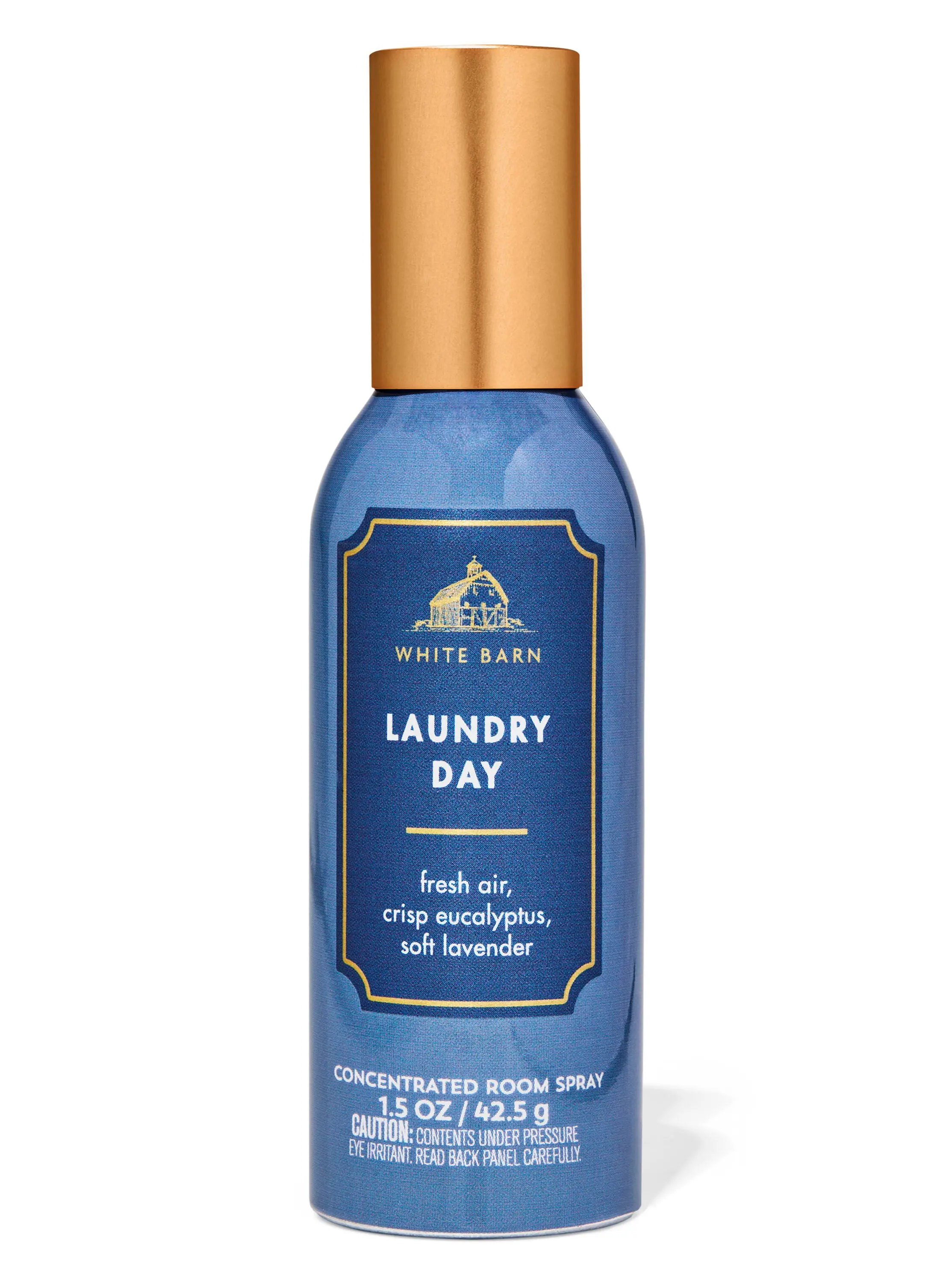 Laundry Day Concentrated Room Spray